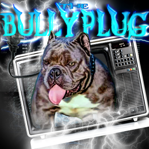 bully plug